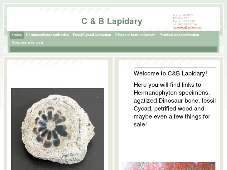 www.cycadlap.com