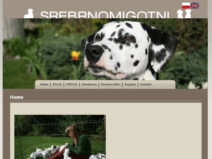 www.dalmatians.pl