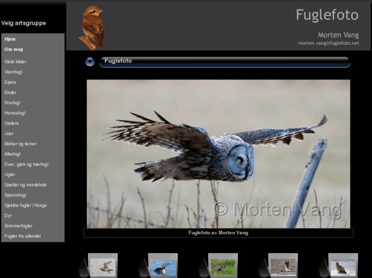 www.fuglefoto.net