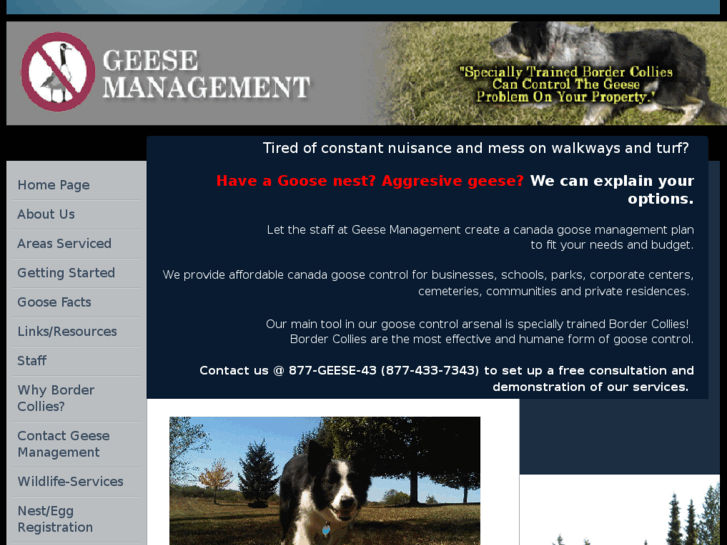 www.geesemanagement.com