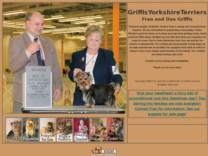 www.griffisyorkshireterriers.com