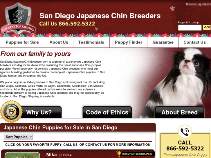 www.sandiegojapanesechinbreeders.com