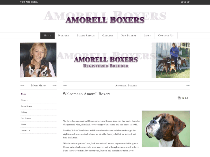 www.amorellboxerdogs.com