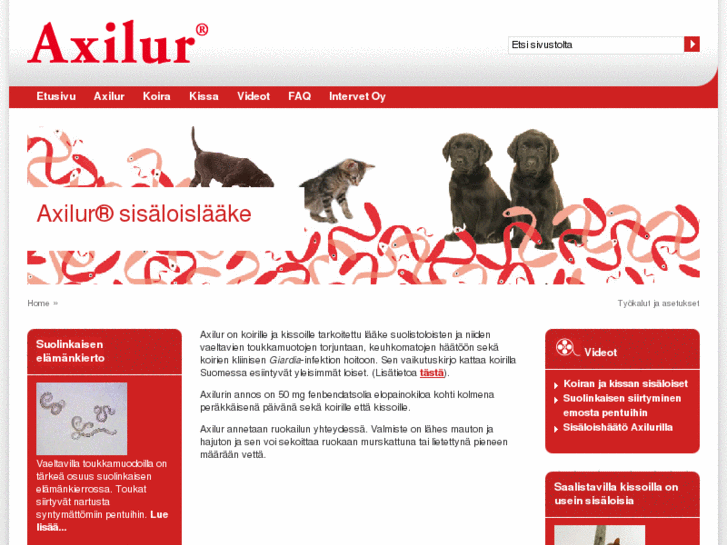 www.axilur.com