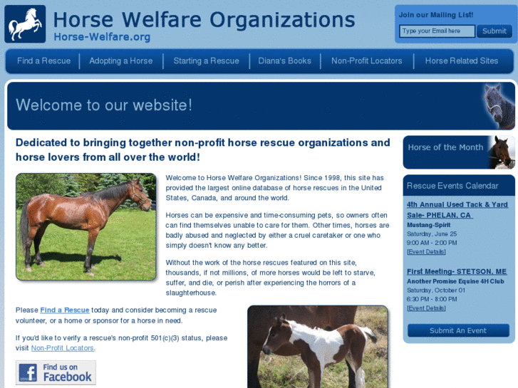 www.horse-welfare.org