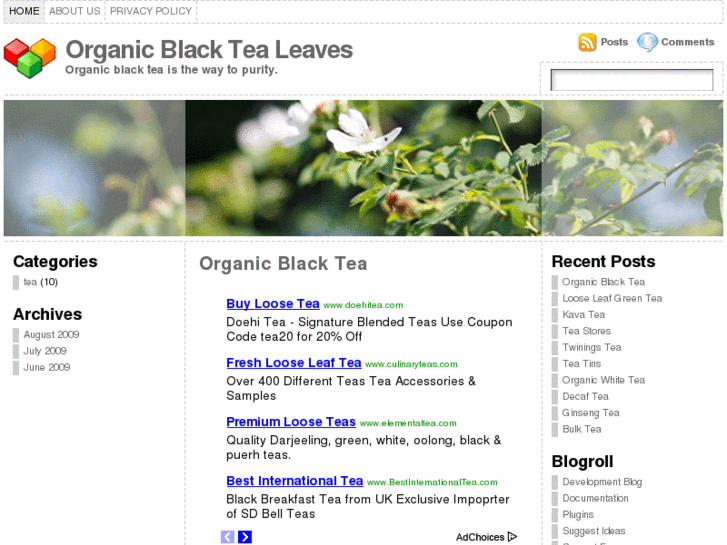 www.organicblacktealeaves.com