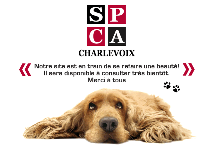 www.spcacharlevoix.org