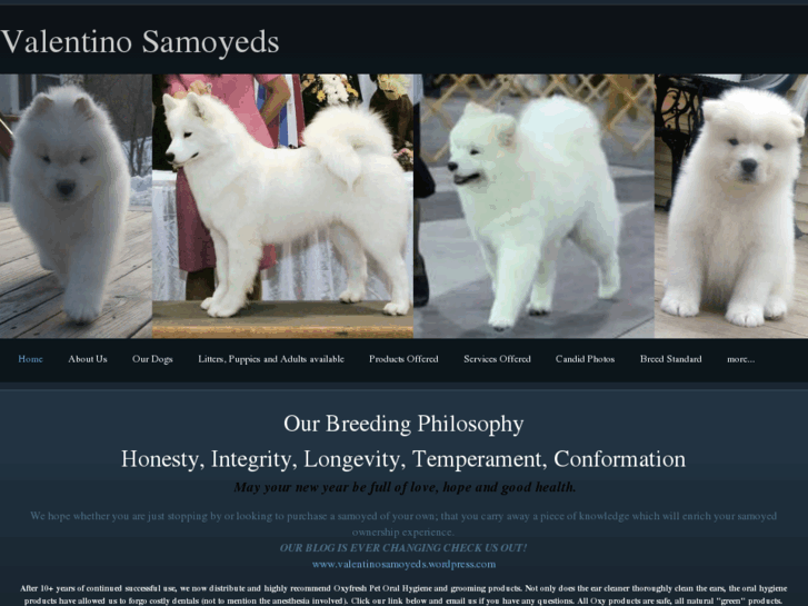 www.valentinosamoyeds.com