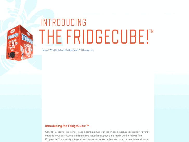 www.fridgecube.com