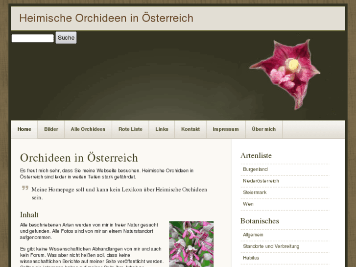 www.heimische-orchideen.at