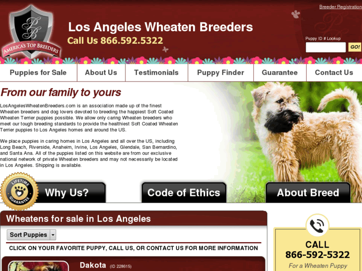 www.losangeleswheatenbreeders.com