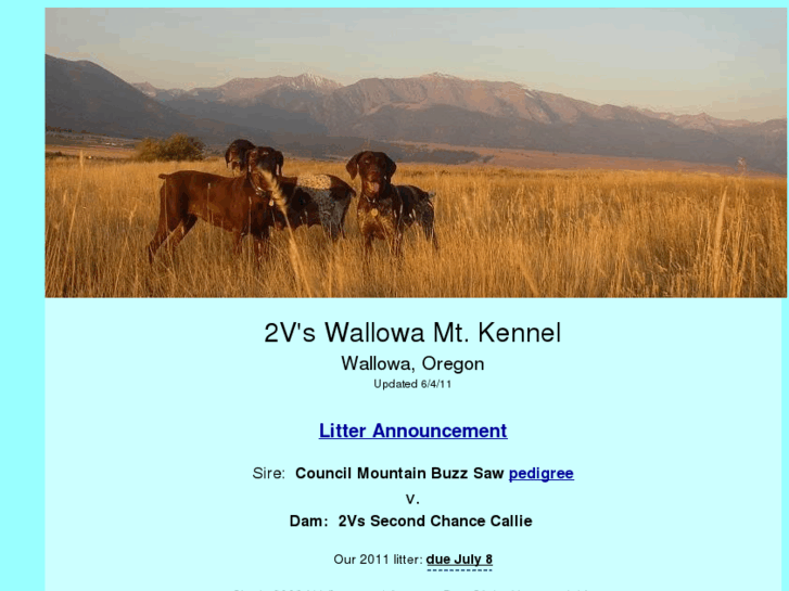 www.2vkennels.com