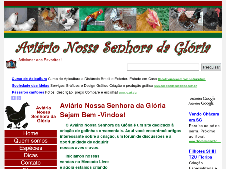 www.aviarionsgloria.com