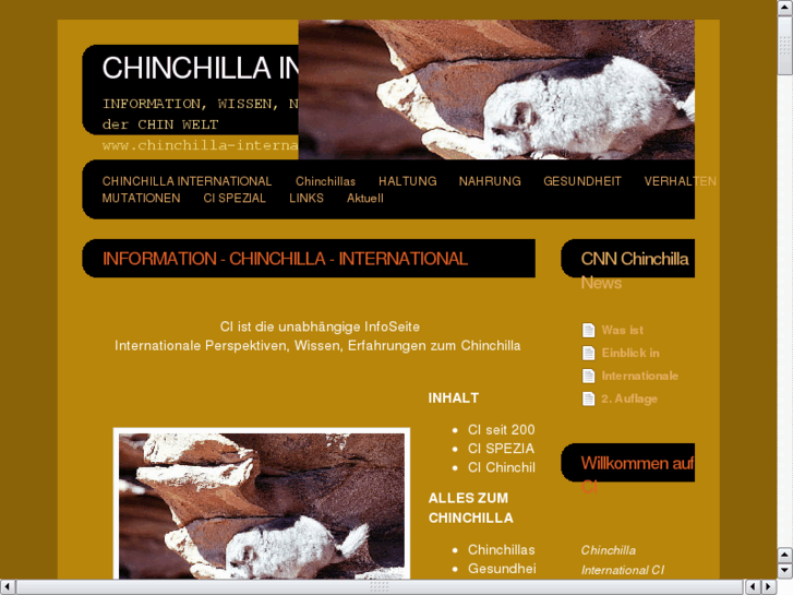 www.chinchillainternational.com