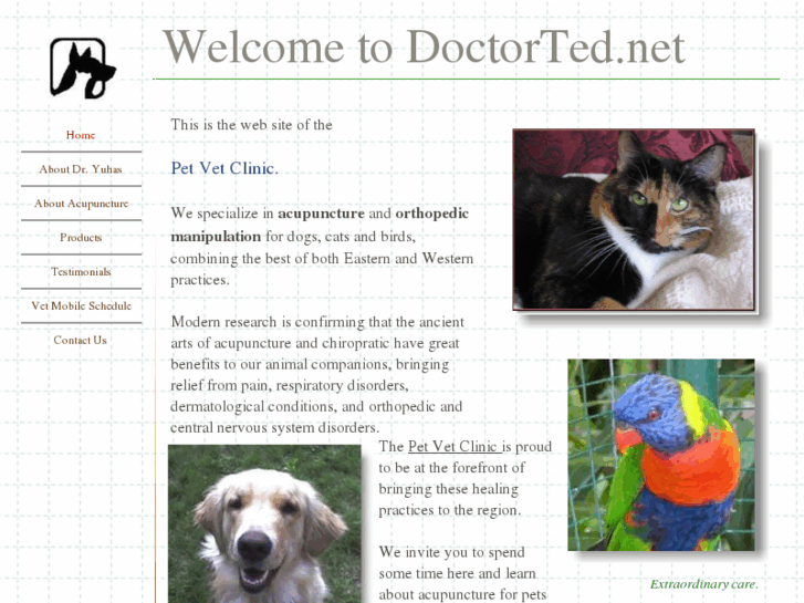 www.doctorted.net