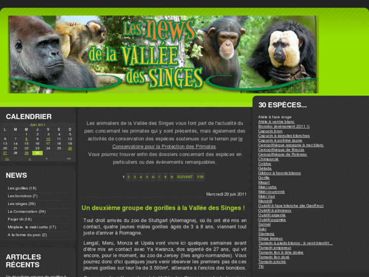 www.singes.info