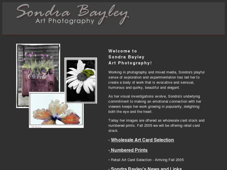 www.sondrabayleyartphotography.com