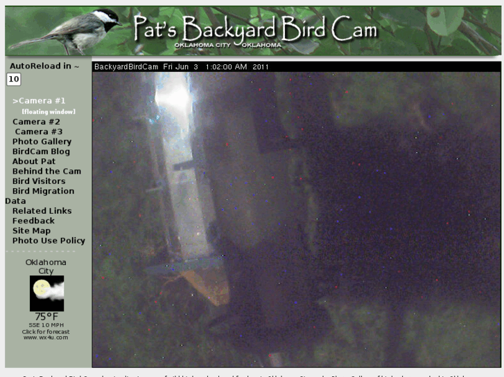 www.backyardbirdcam.com