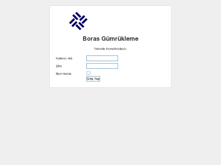 www.borasgumrukleme.com