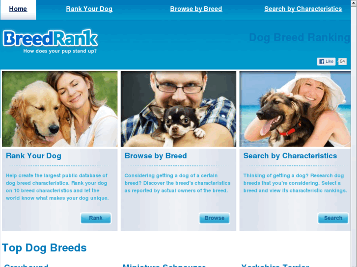 www.breedrank.com