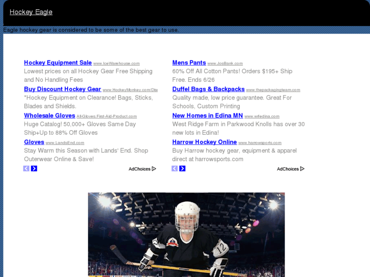 www.hockeyeagle.com