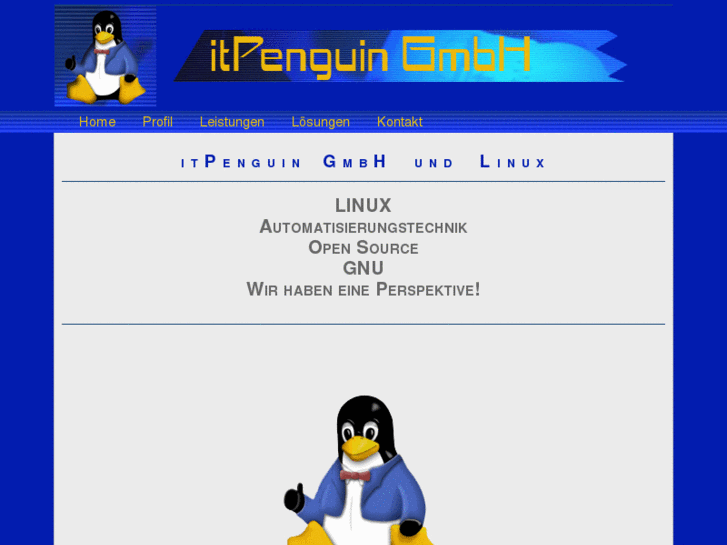 www.itpenguin.de