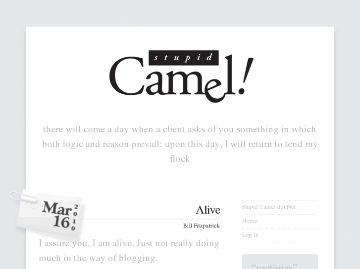 www.stupidcamel.net