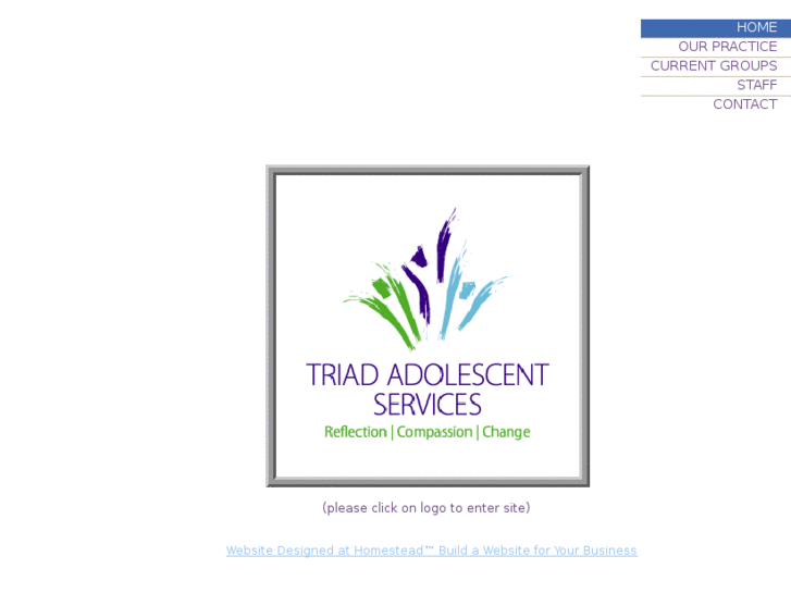 www.triadadolescentservices.com