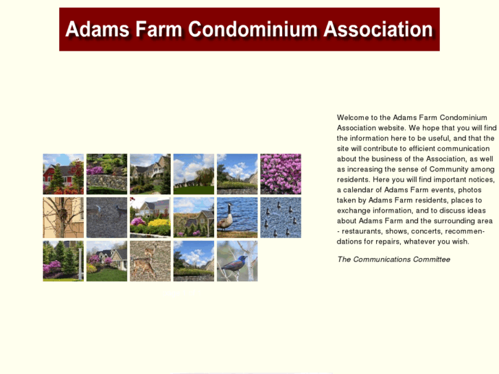 www.adamsfarmcondo.com