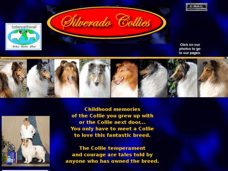 www.colliedog.org