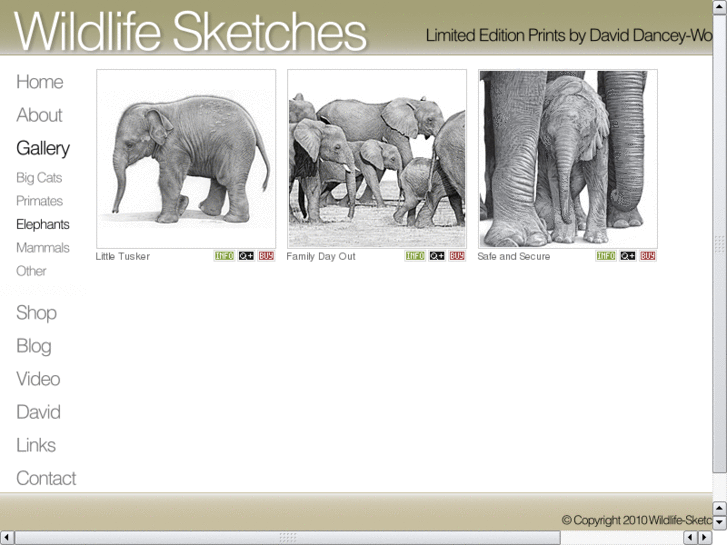 www.elephant-drawings.com