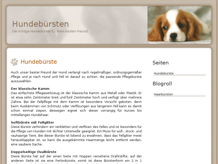 www.hundebuerste.com