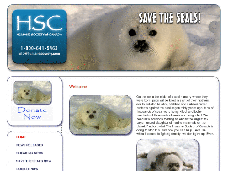 www.savethesealsnow.org