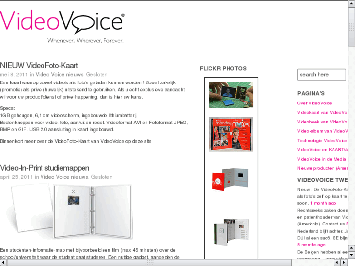 www.videovoice.nl