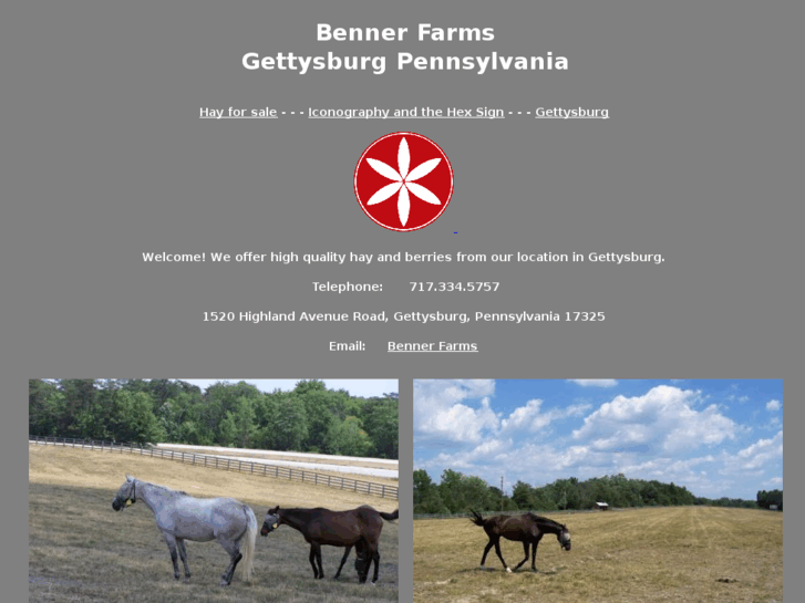 www.bennerfarms.com