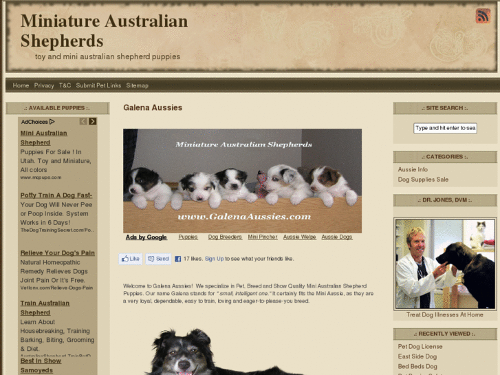 www.galenaaussies.com