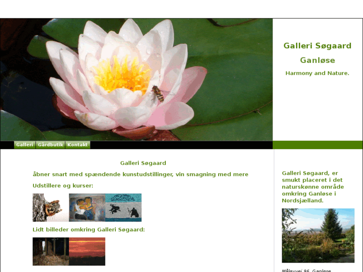 www.galleri-soegaard.com