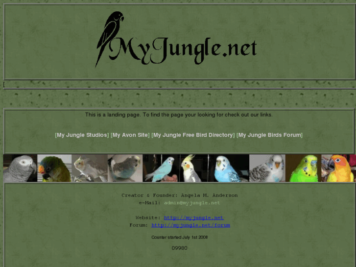 www.myjungle.net