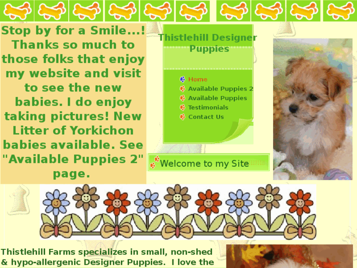 www.thistlehilldesignerpuppies.com