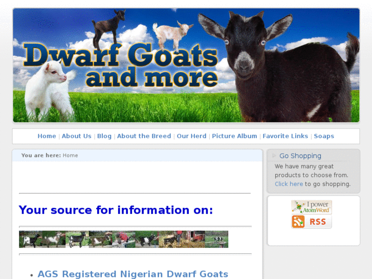 www.dwarfgoatsandmore.com