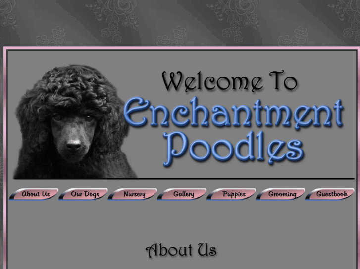 www.enchantmentpoodles.com