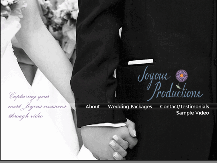 www.joyousproductions.com