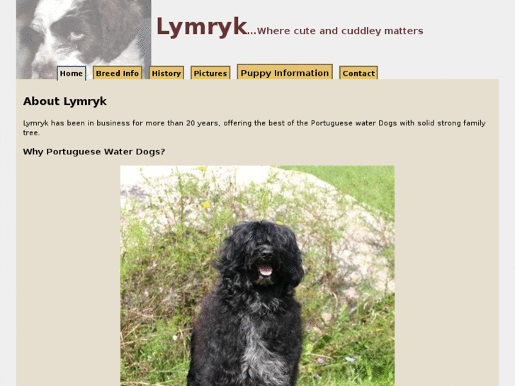 www.lymryk.com