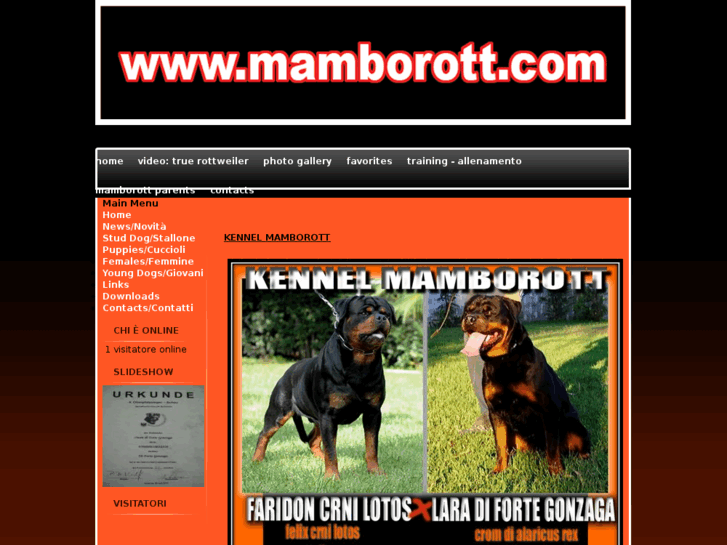 www.mamborott.com