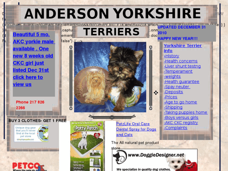 www.andersonyorkies.com