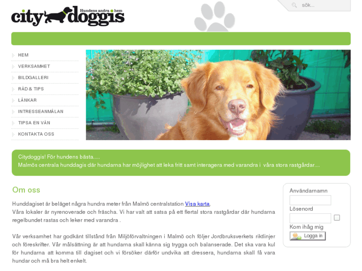 www.citydoggis.com