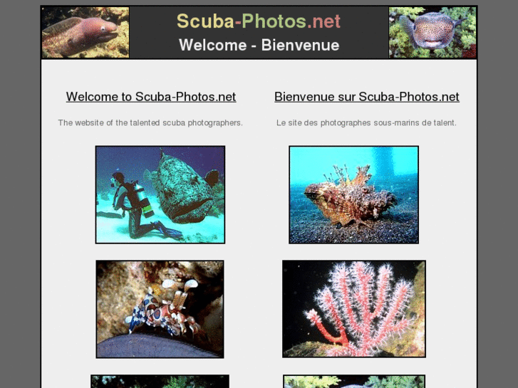 www.scuba-photos.net