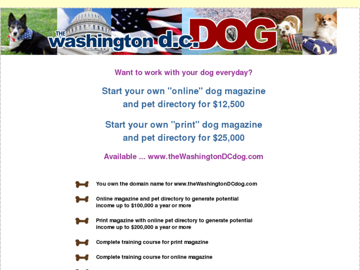 www.thewashingtondcdog.com