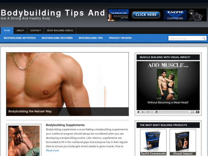 www.wikibodybuilding.com