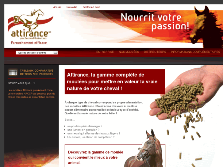 www.attirance.ca
